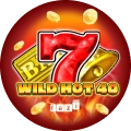Wild Hot 40
