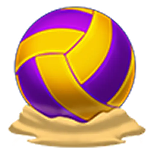 Beach Volleyball