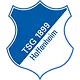 TSG Hoffenheim